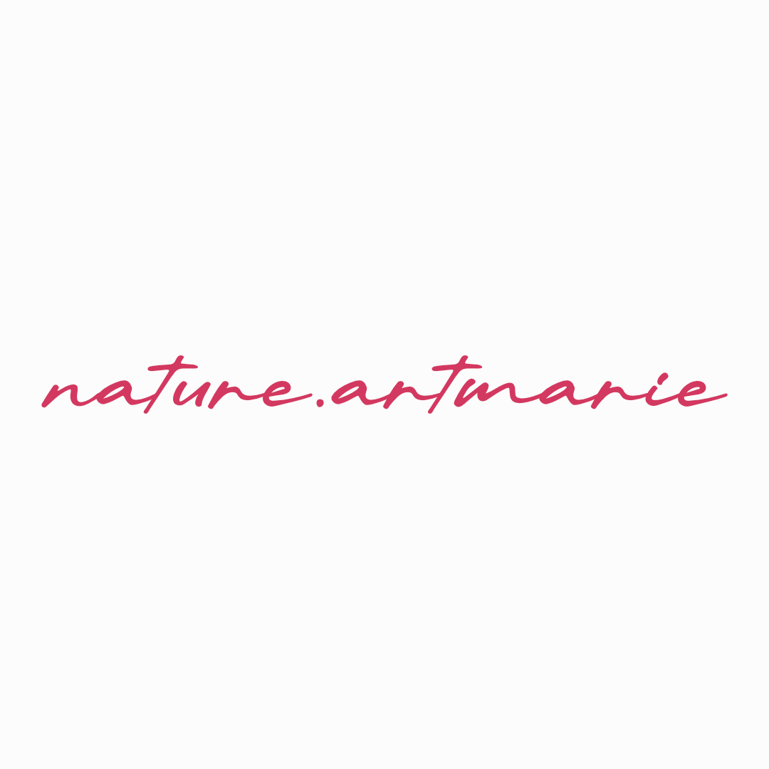 nature.artmarie